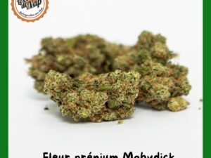 Fleur Mobydick premium