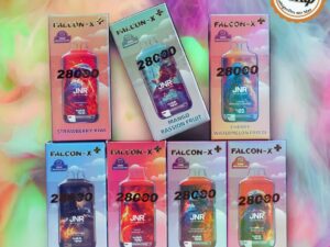 PUFF JNR Falcon 28K + 2 E-liquides 10 ml en 2% de nicotine