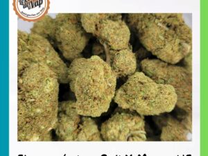 Fleur Cali X Mango HE