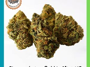 Fleur Bubble Mint HE