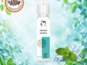 Menthe Polaire - Bio concept – 50 ml