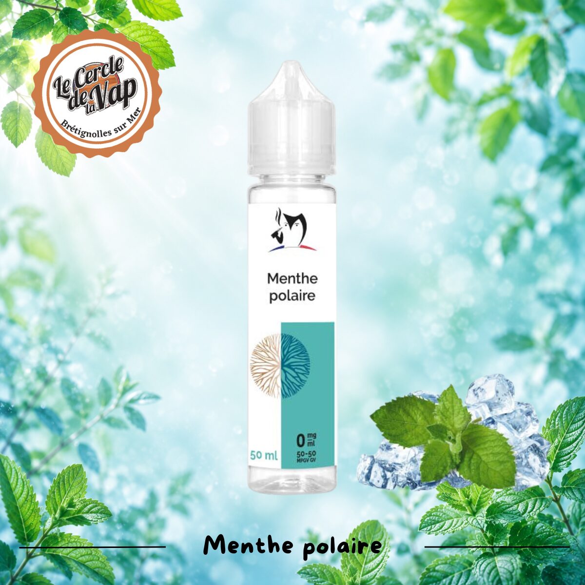 Menthe Polaire - Bio concept – 50 ml