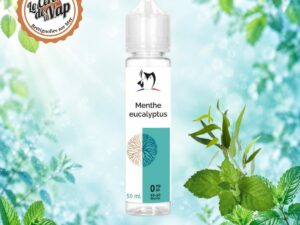 Menthe eucalyptus - Bio concept – 50 ml