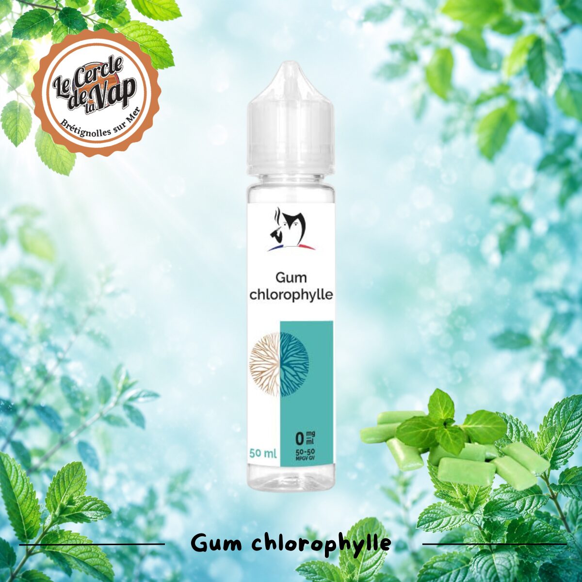Gum Chlorophylle – Bio concept – 50 ml