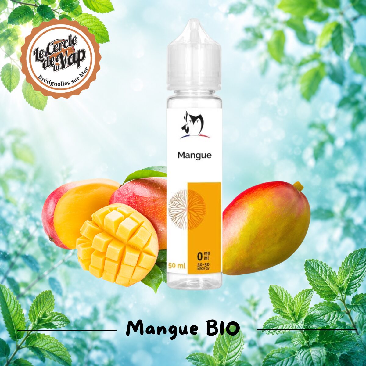 Mangue - végétale - Bio – 50 ml