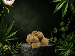 Fleur Moonrock prémium