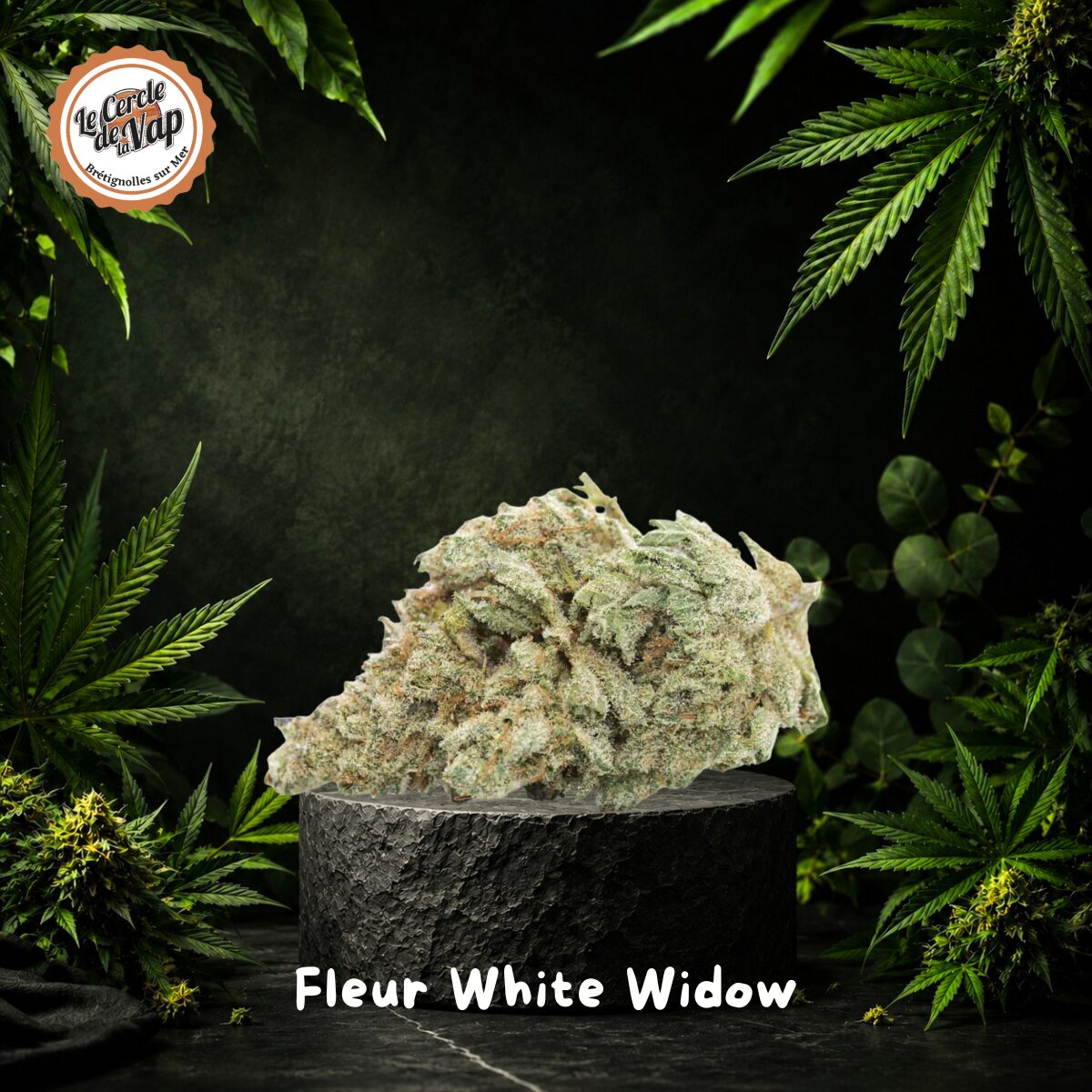 Fleur White Widow premium