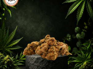 Fleur CBD Amnésia Premium