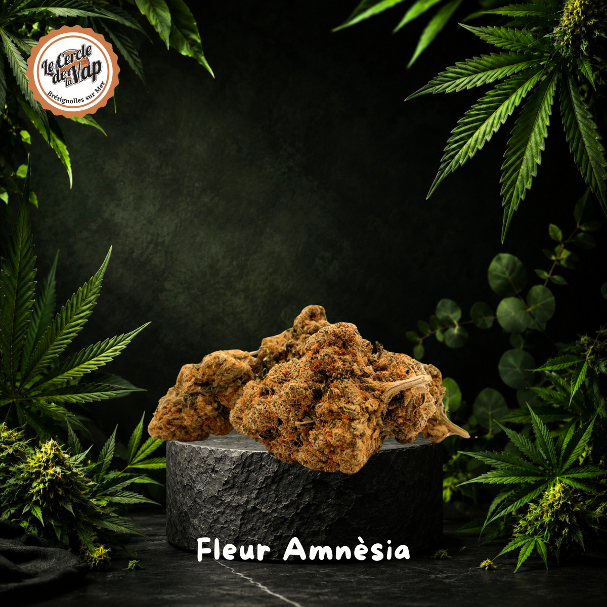 Fleur CBD Amnésia Premium