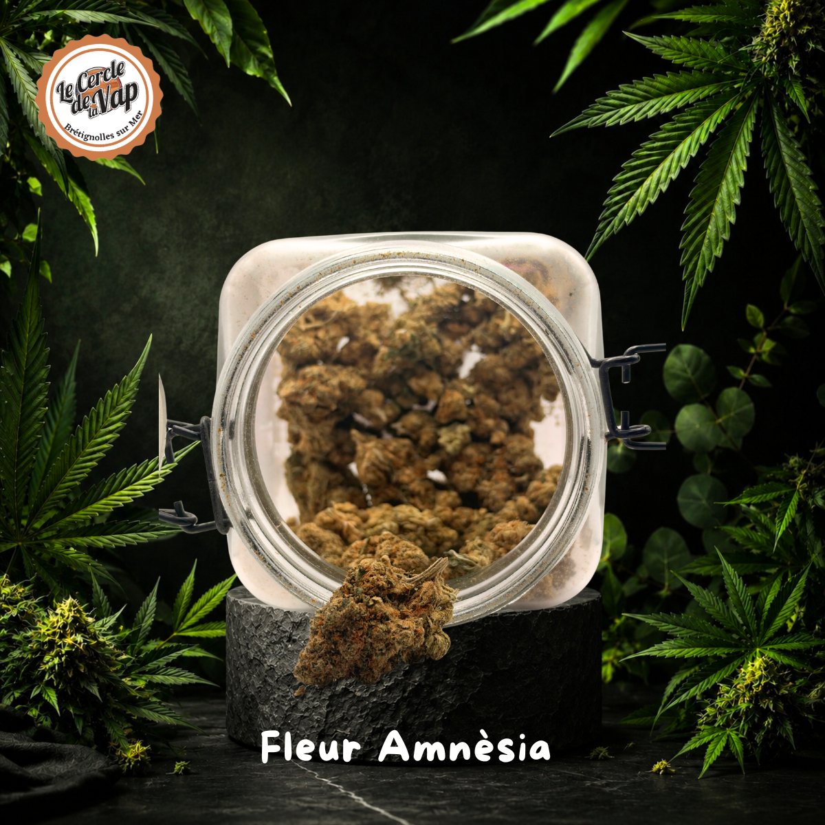 Fleur CBD Amnésia Premium – Image 2