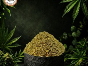 Trim HE Premium