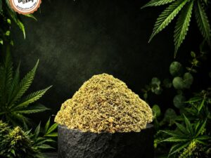 Trim Premium