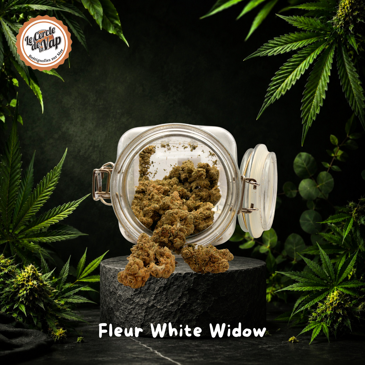 Fleur White Widow premium – Image 2