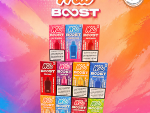 Cartouche Wilo Boost